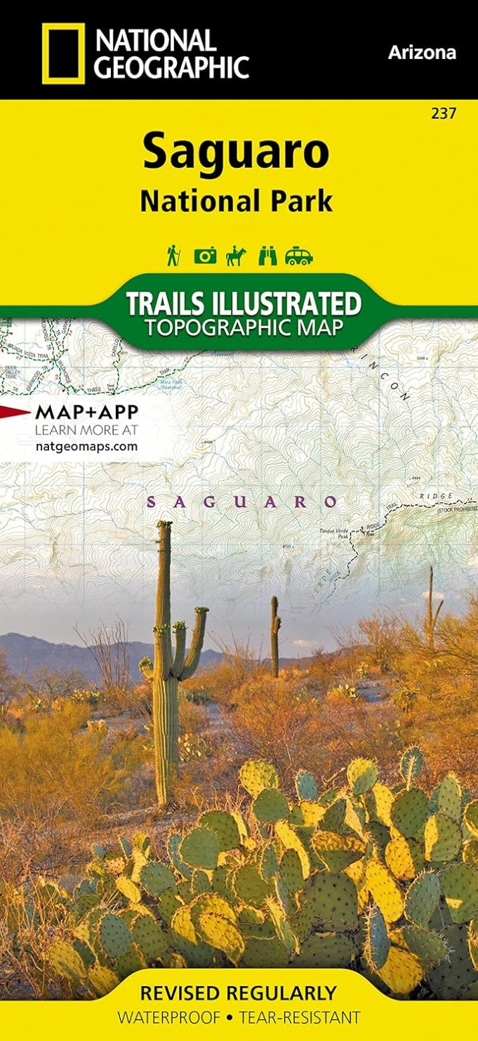 Saguaro National Park : Arizona, USA