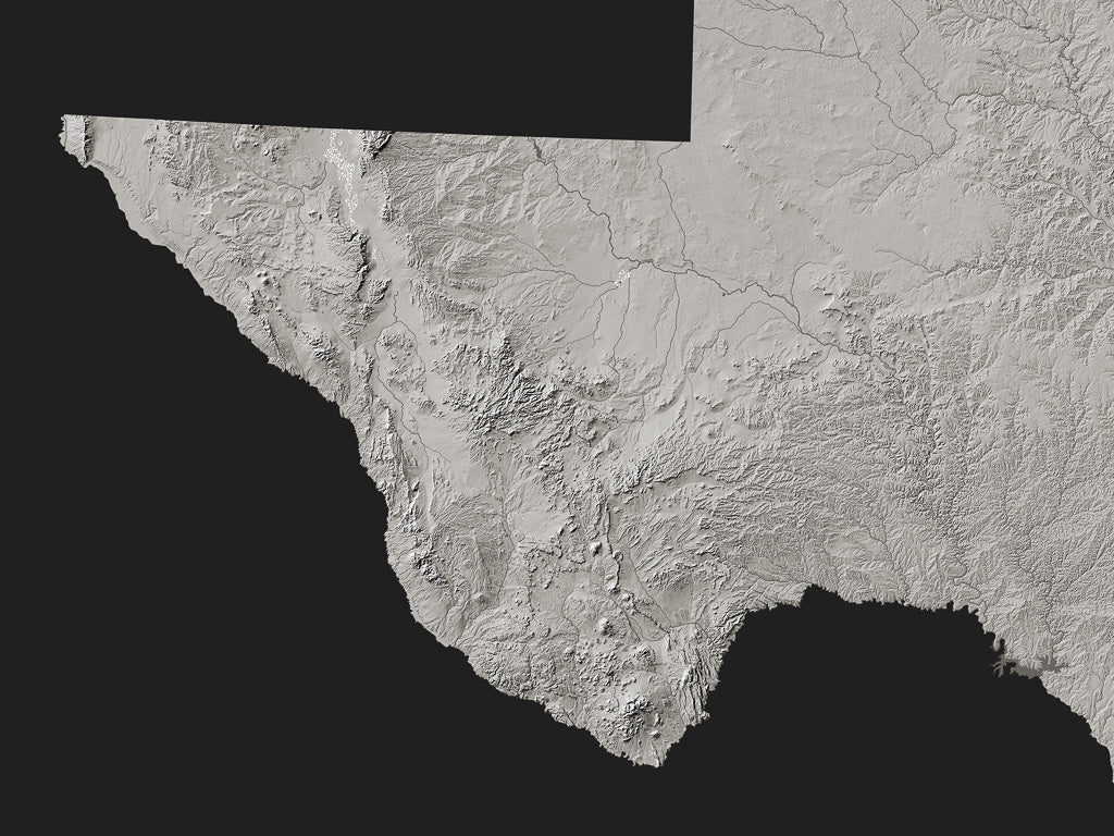 Texas Archival Print