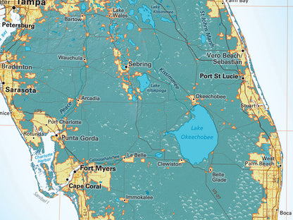 The South Atlantic Coast Elevation Tints Fine Art Print Map