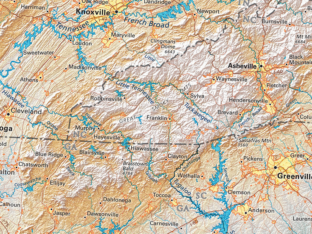 The South Atlantic Coast Elevation Tints Fine Art Print Map