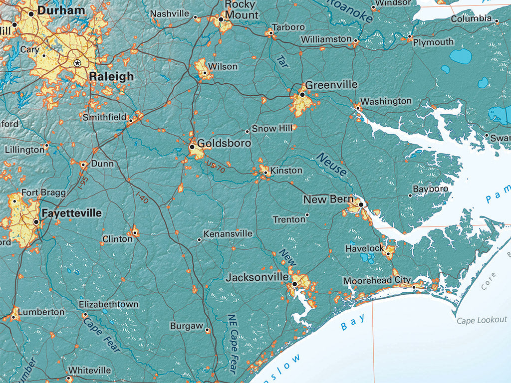 The South Atlantic Coast Elevation Tints Fine Art Print Map