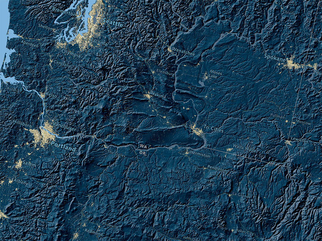 The United States at Night Elevation Tints Fine Art Print Map