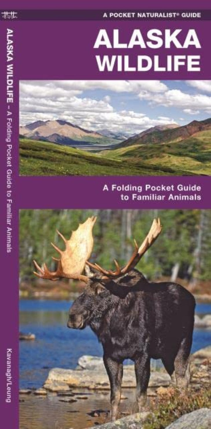 Alaska Wildlife: A Folding Pocket Guide to Familiar Animals