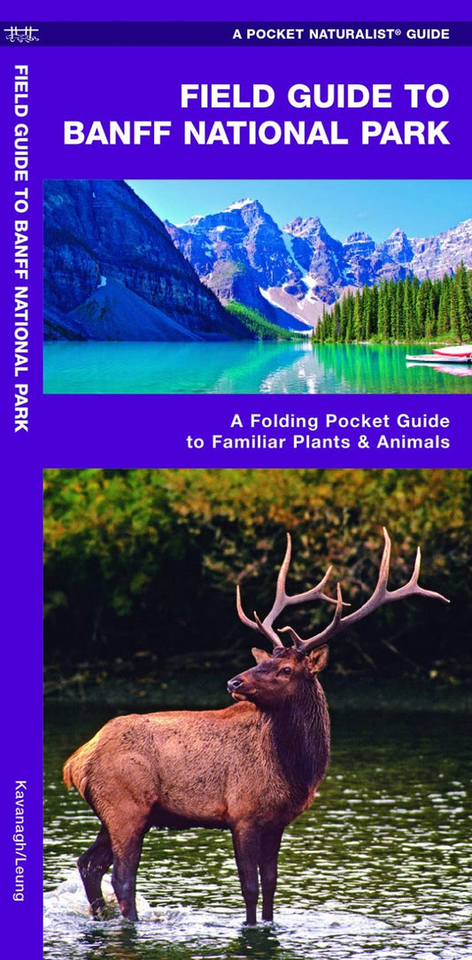 Field Guide to Banff National Park