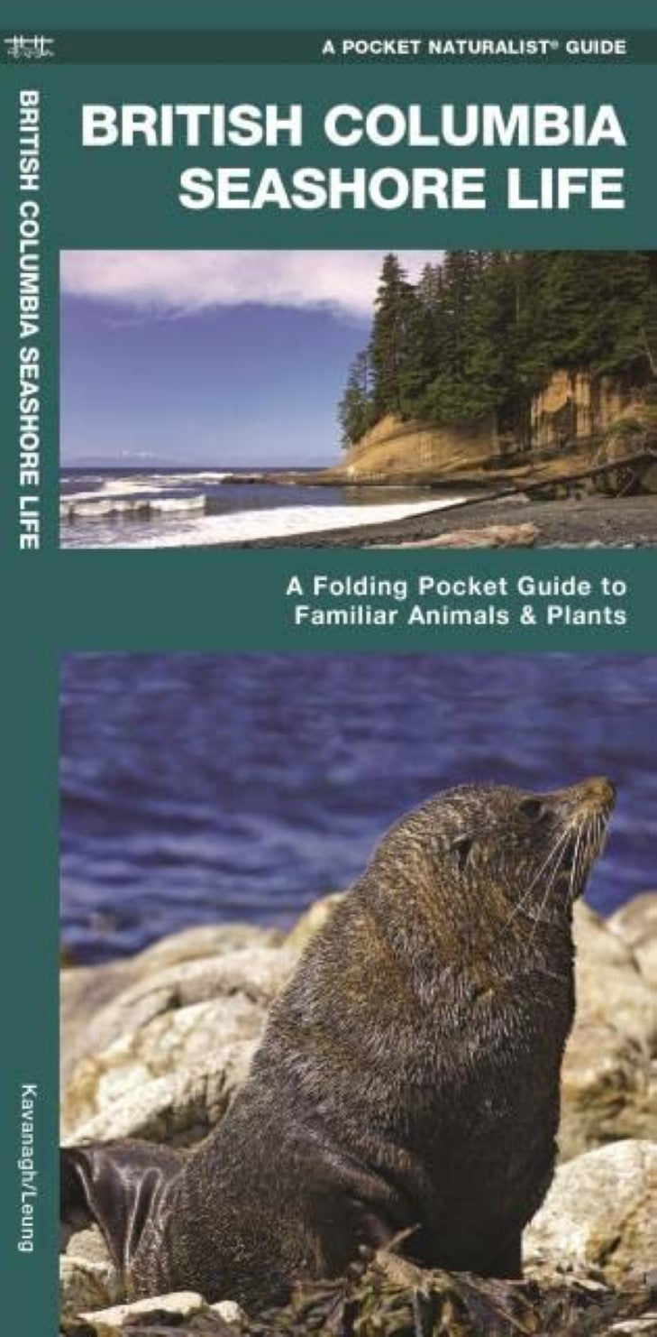 British Columbia Seashore Life: An Introduction to Familiar Plants and Animals