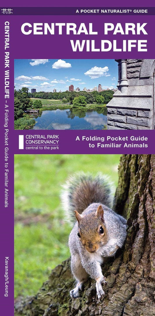 Central Park Wildlife, 2nd Ed