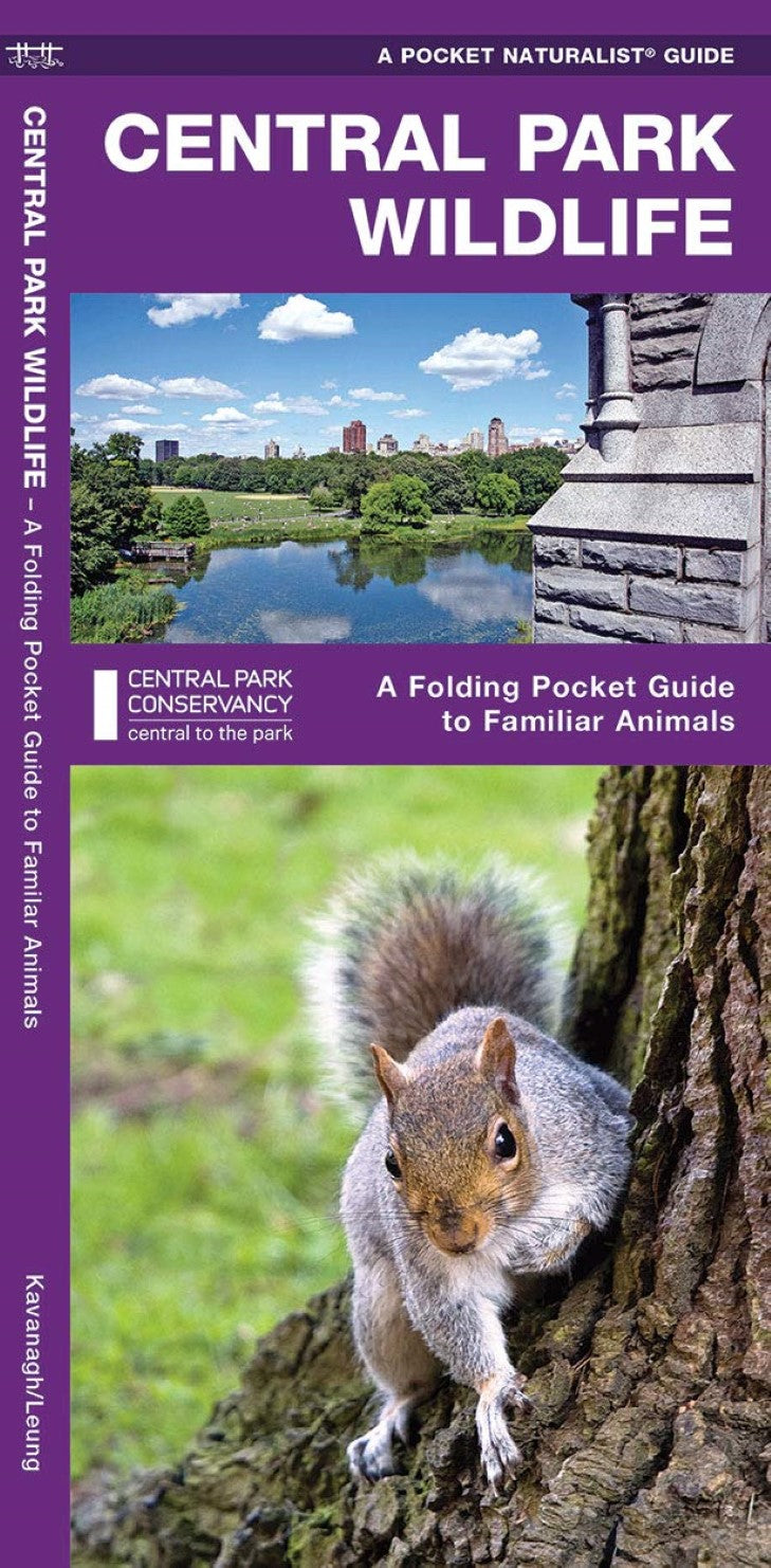 Central Park Wildlife, 2nd Ed