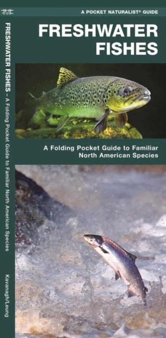 Freshwater Fishes: A Folded Guide