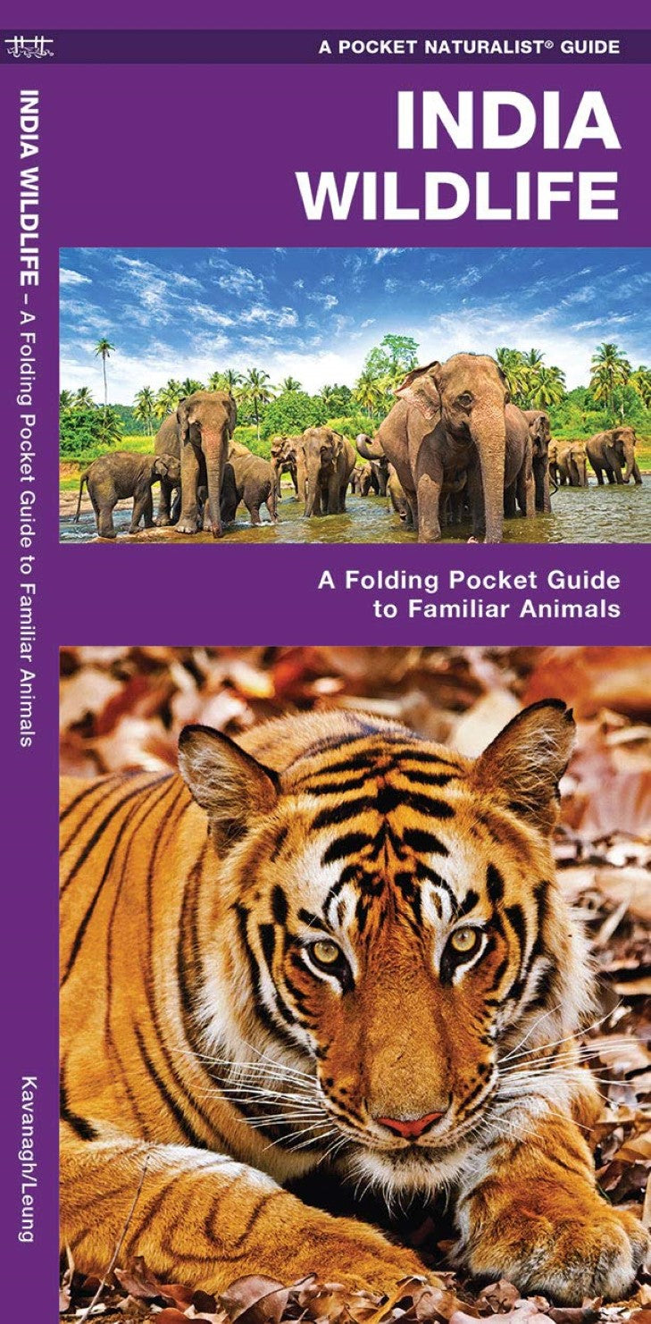 India Wildlife: A Folding Pocket Guide to Familiar Animals