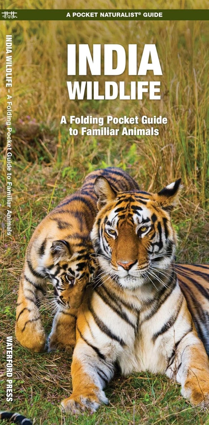 India Wildlife: A Folding Pocket Guide to Familiar Animals