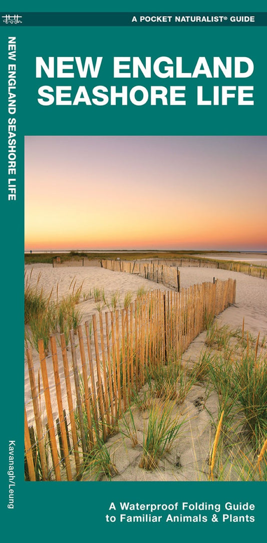 New England Beachcomber: A Waterproof Reference to Beach Habitats, Plants & Animals