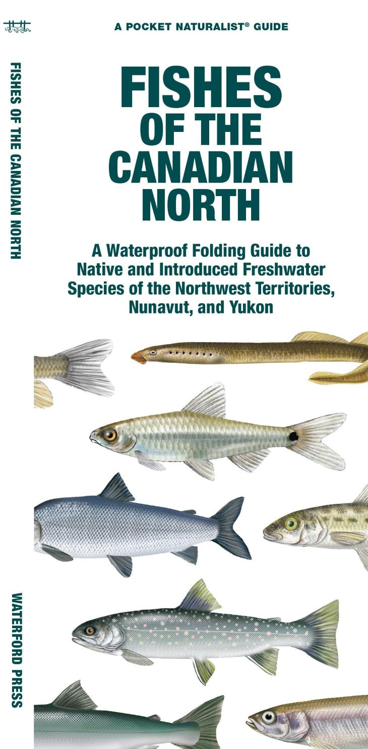 Fishes of The Canadian North