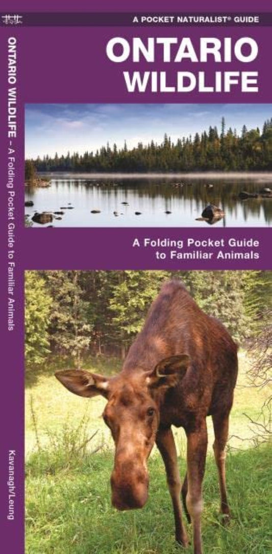 Ontario Wildlife: A Folding Guide