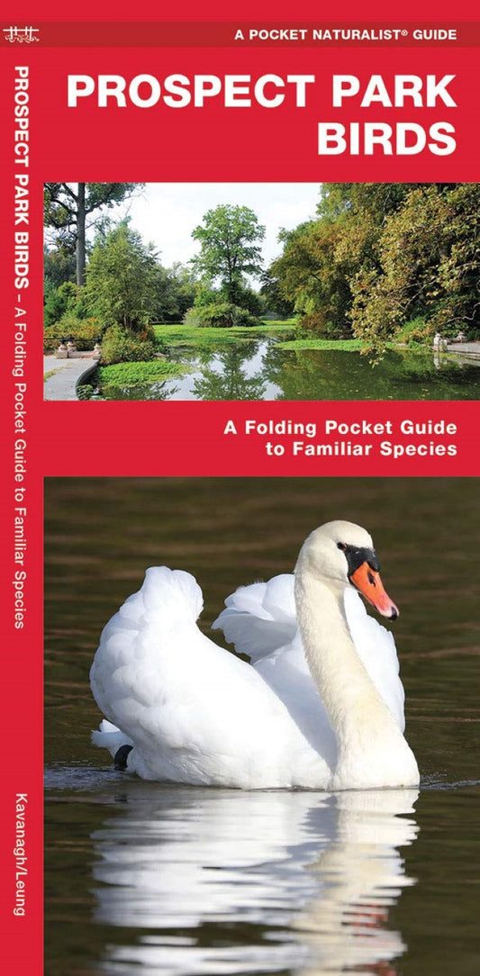 Prospect Park Birds: A Folding Pocket Guide