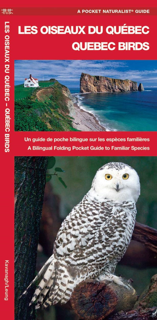 Quebec Birds : a Bilingual Folding Pocket Guide to Familiar Species