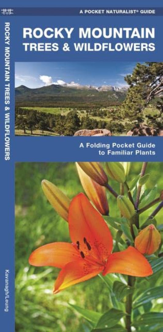 Rocky Mountain Trees & Wildflowers