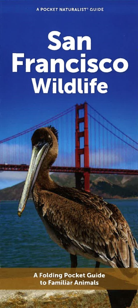 San Francisco Wildlife