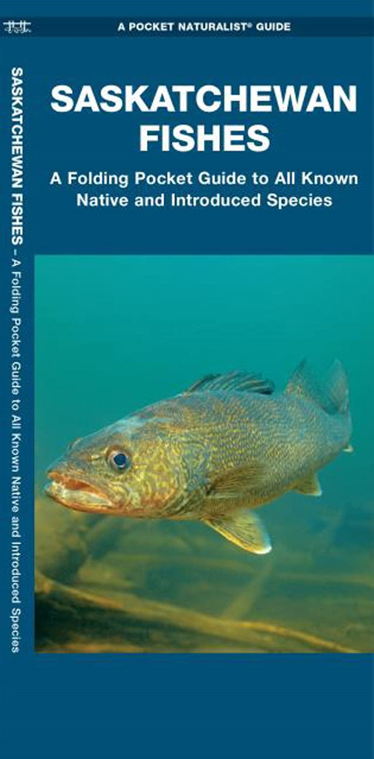 Saskatchewan Fishes: A Folding Pocket Guide
