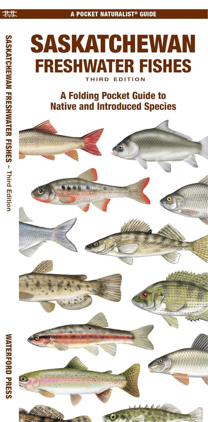 Saskatchewan Fishes: A Folding Pocket Guide