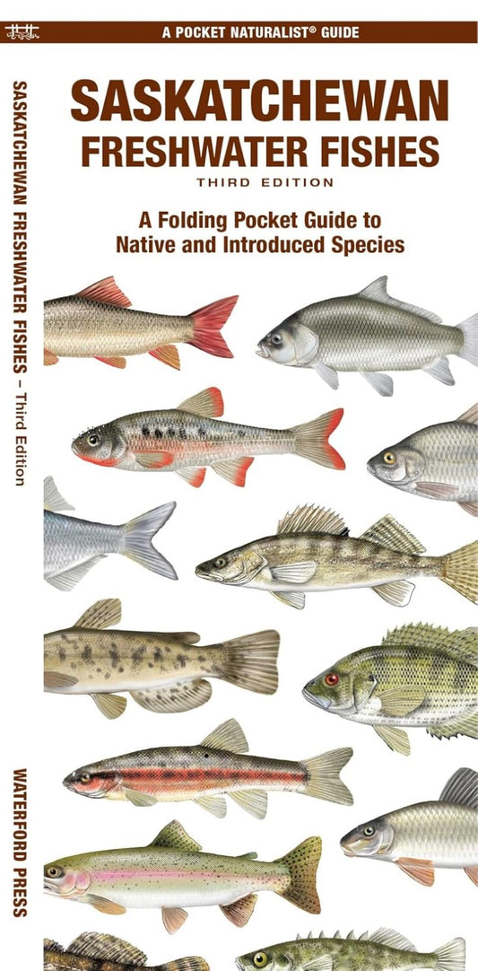 Saskatchewan Fishes: A Folding Pocket Guide
