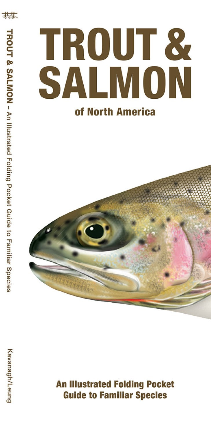 Trout & Salmon Of North America