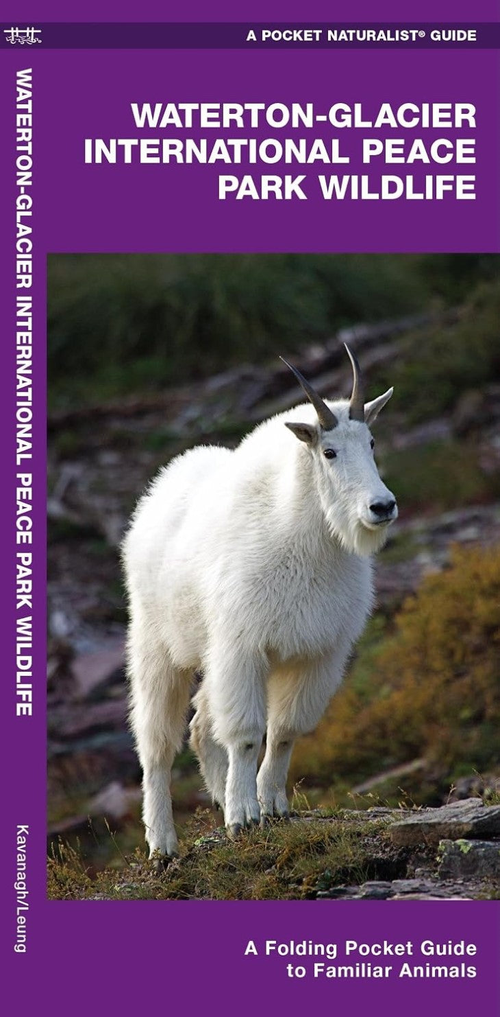 Waterton-Glacier International Peace Park Wildlife: A Folding Pocket Guide to Familiar Animals