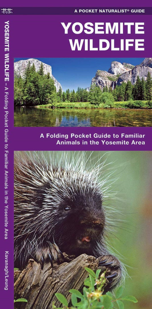 Yosemite Wildlife: A Folded Guide