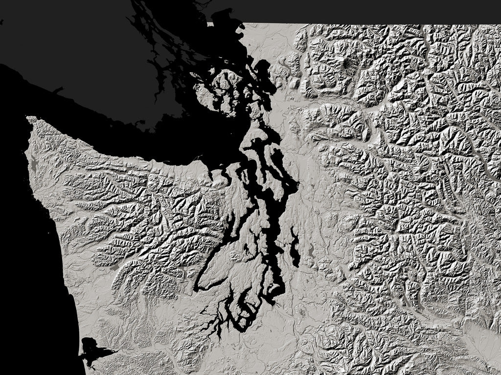 Washington Archival Print