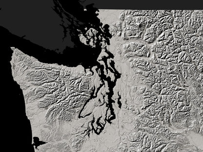 Washington Archival Print