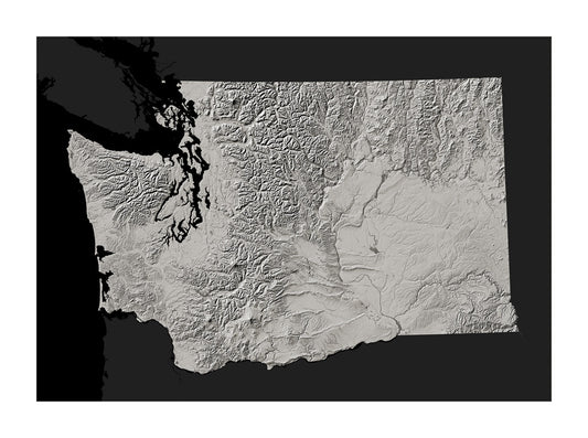 Washington Archival Print