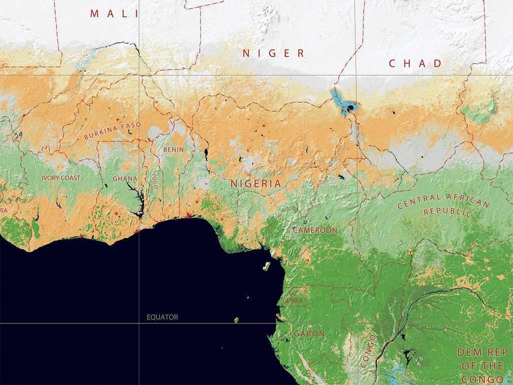 World Vegetation Fine Art Print Map