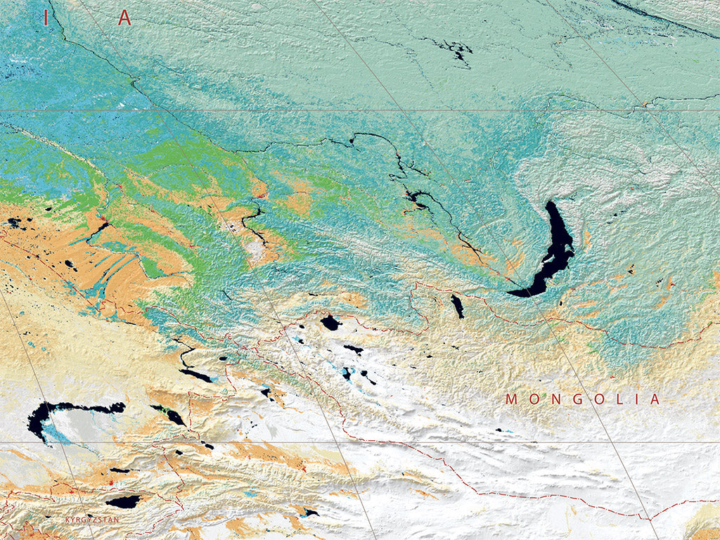 World Vegetation Fine Art Print Map