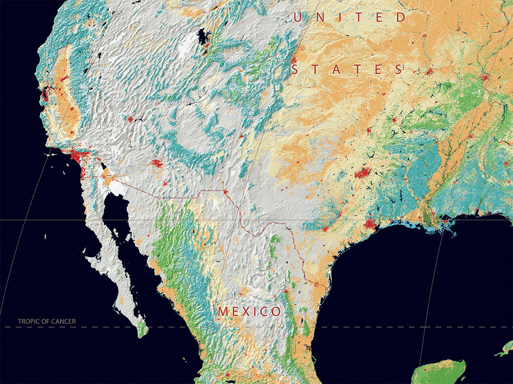 World Vegetation Fine Art Print Map