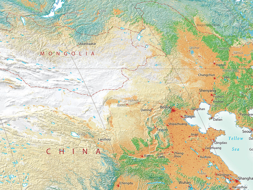 World Vegetation Fine Art Print Map