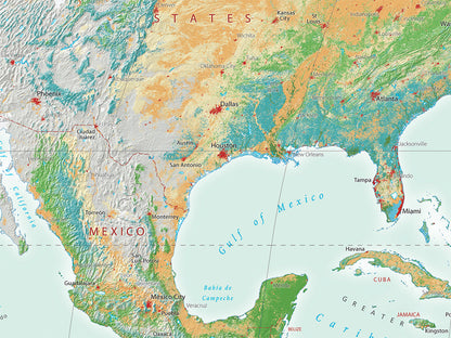 World Vegetation Fine Art Print Map