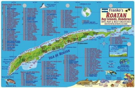 Caribbean Fish Card, Roatan