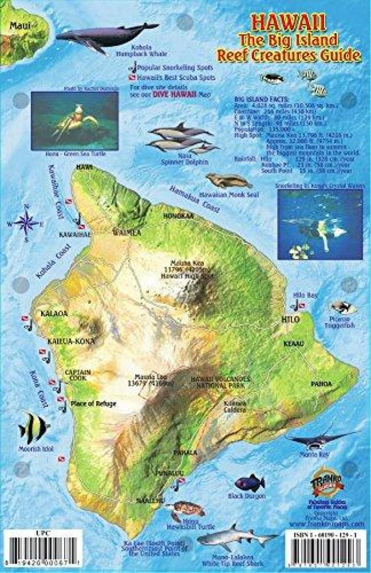 Hawaii : the big island reef creatures guide