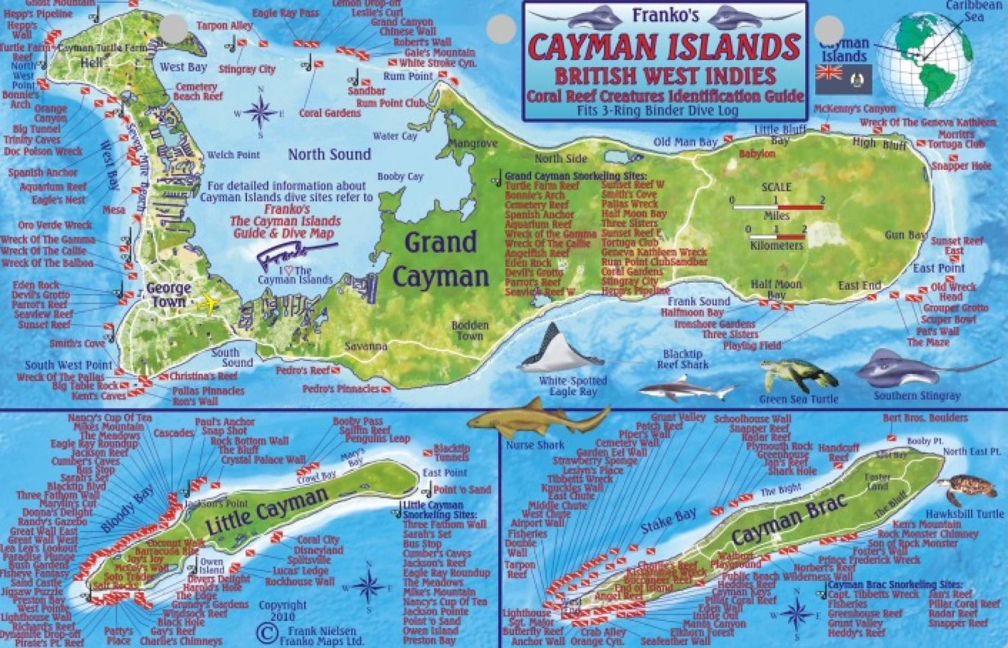 Franko's Cayman Islands : British West Indies : coral reef creatures identification guide : fits 3-ring binder dive log