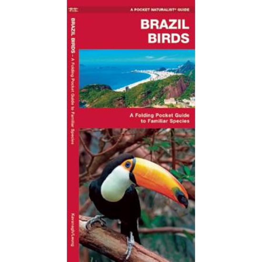 Brazil Birds: A Folding Pocket Guide to Familiar Species