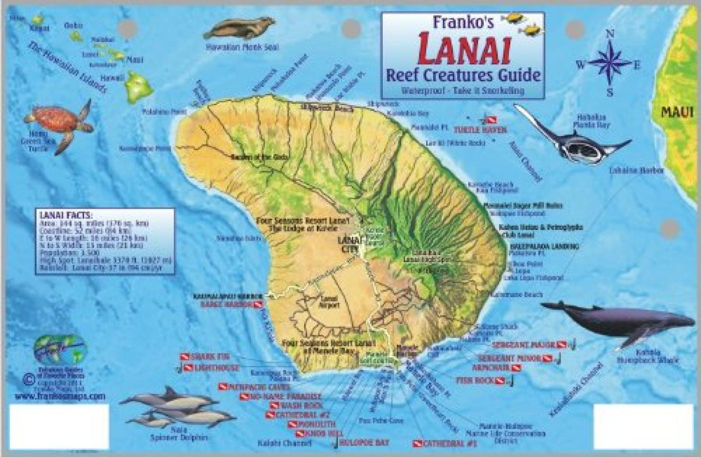 Guide to Lana'i, Reef Creatures