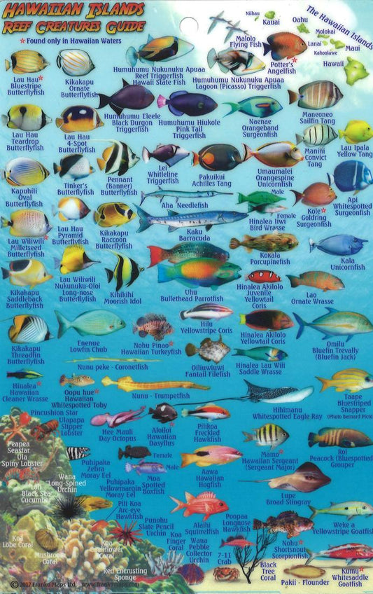 Hawaiian Islands, Reef Creatures Fish ID Card, 2012