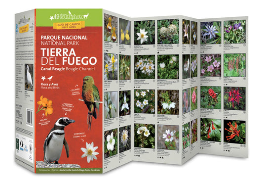 Tierra del Fuego National Park & Beagle Channel : Flora & Birds