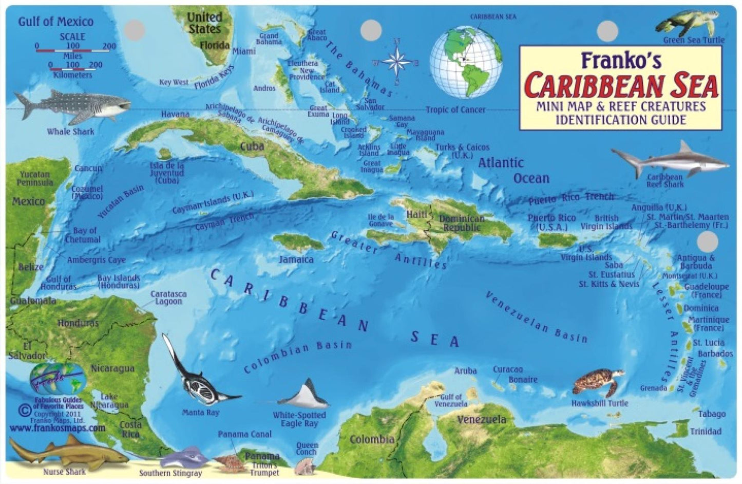 Franko's Caribbean Sea : mini map & reef creatures identification guide