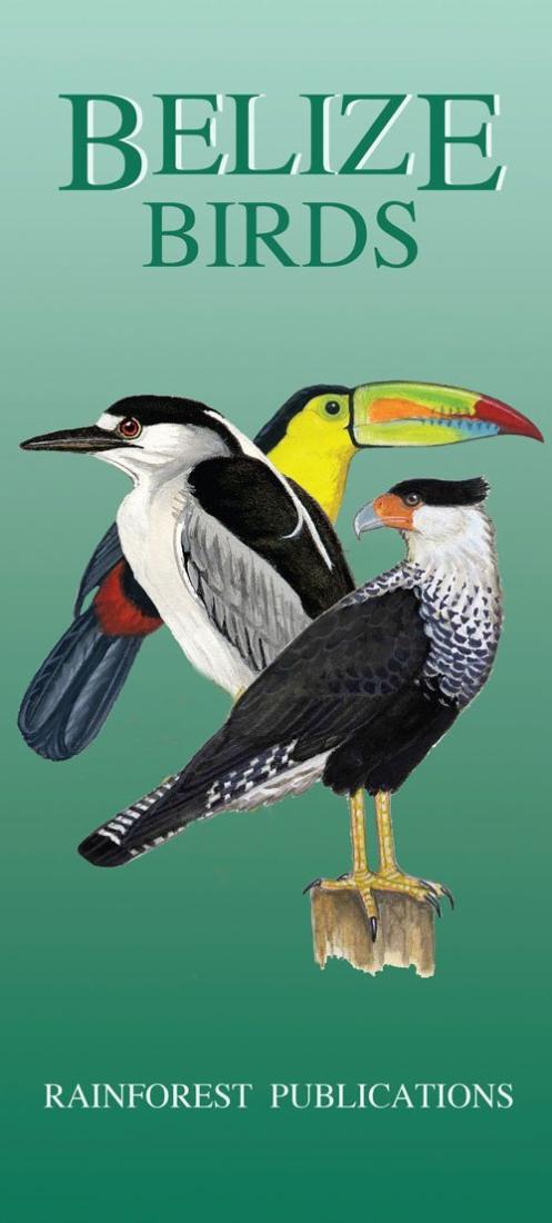 Belize Birds Reference Guide
