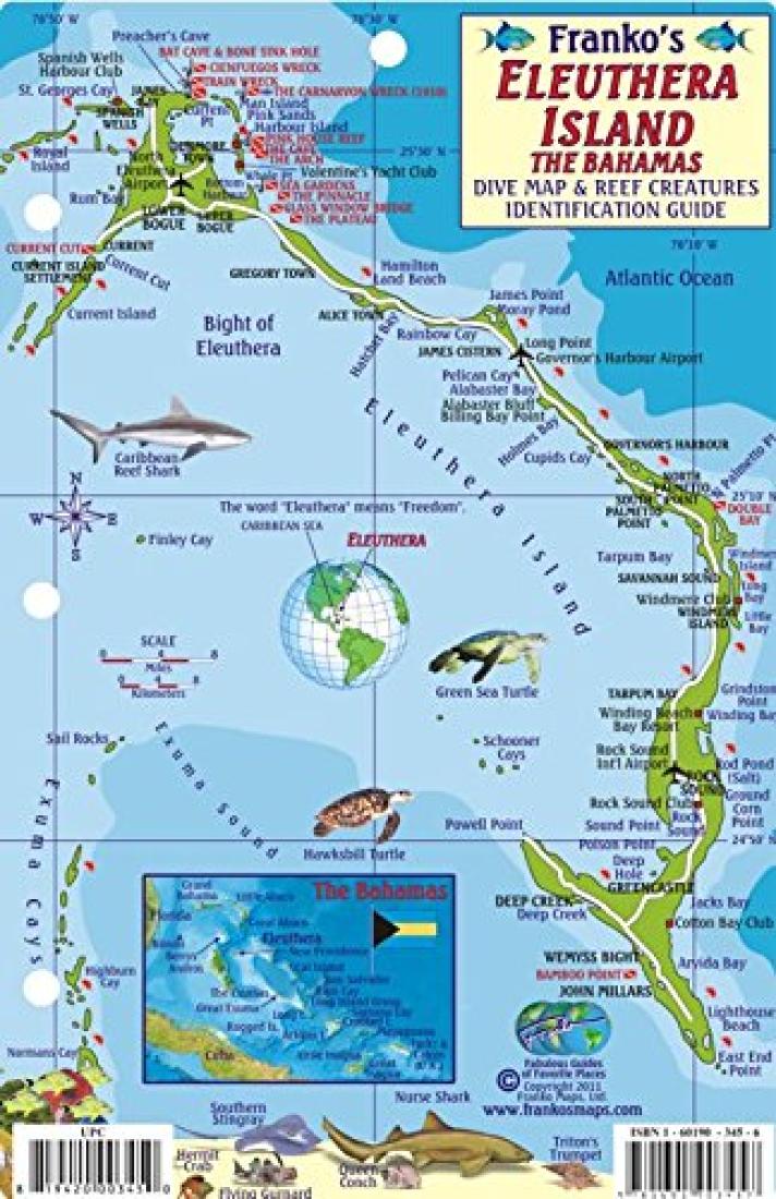 Franko's Eleuthera Island : the Bahamas :  reef creatures identification guide