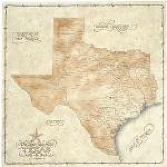 Texas Antique-Style Map