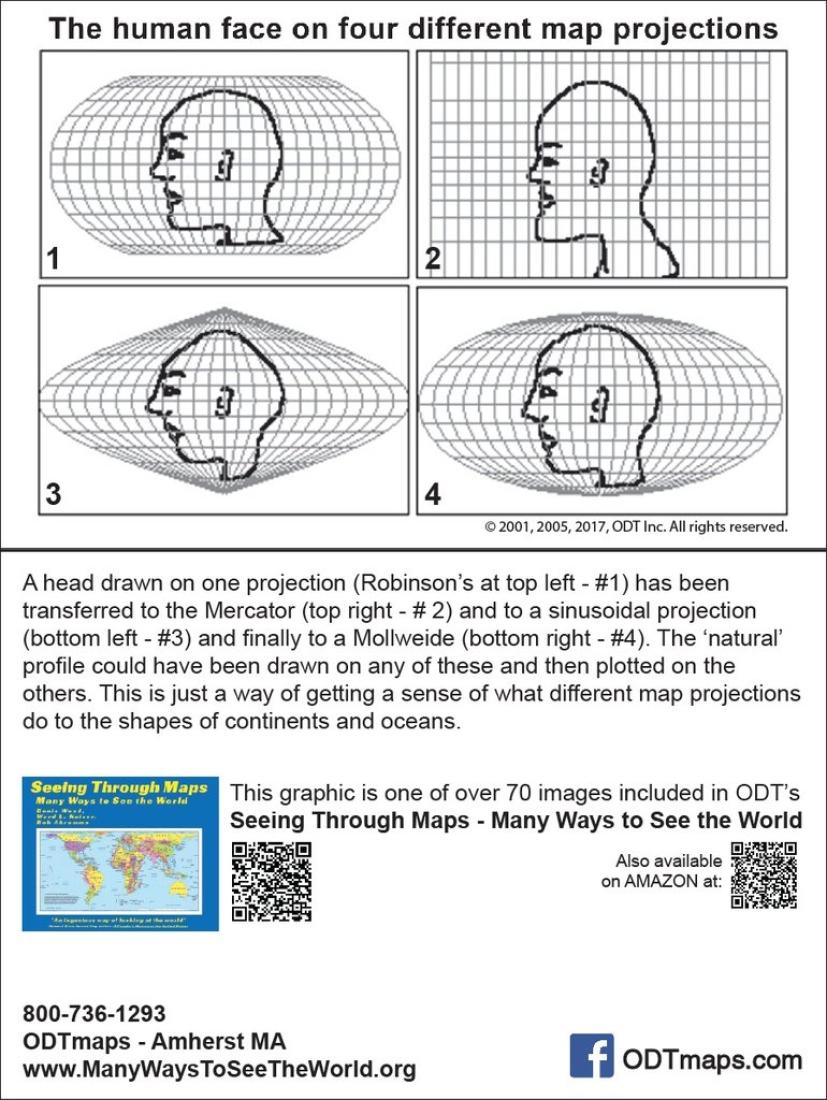 The Human Face on 4 Projections Postcard 4" x 6", 25 pack