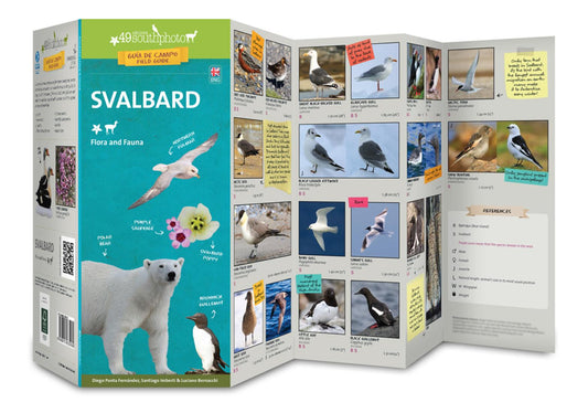 Svalbard : Flora & Fauna