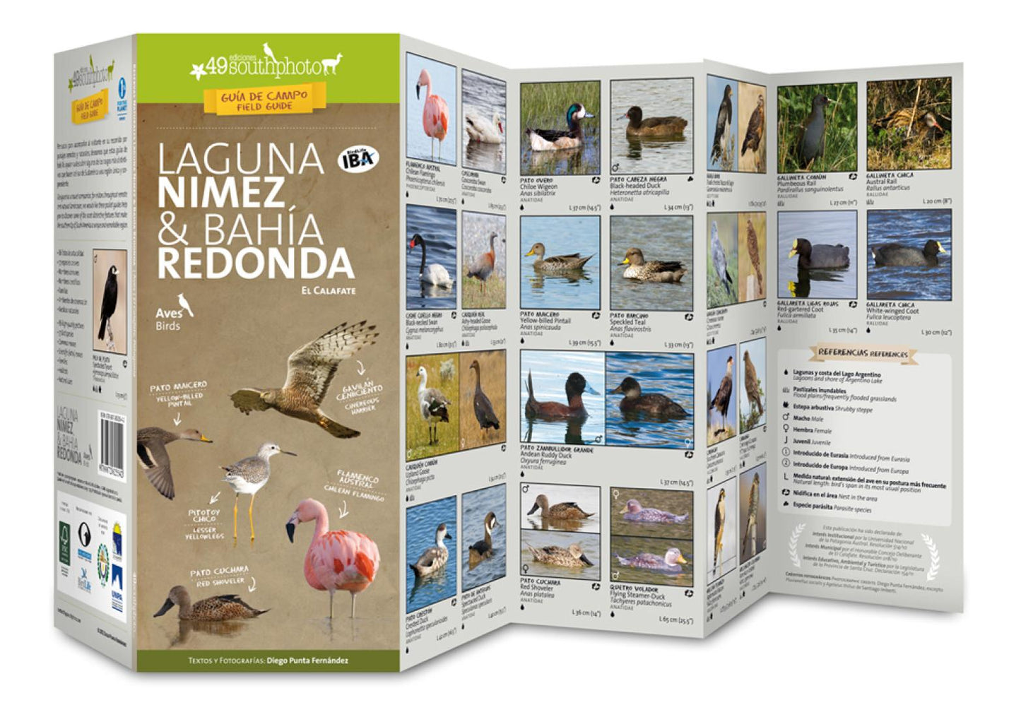 Laguna Nimez & Bahia Redonda (El Calafate). : Birds