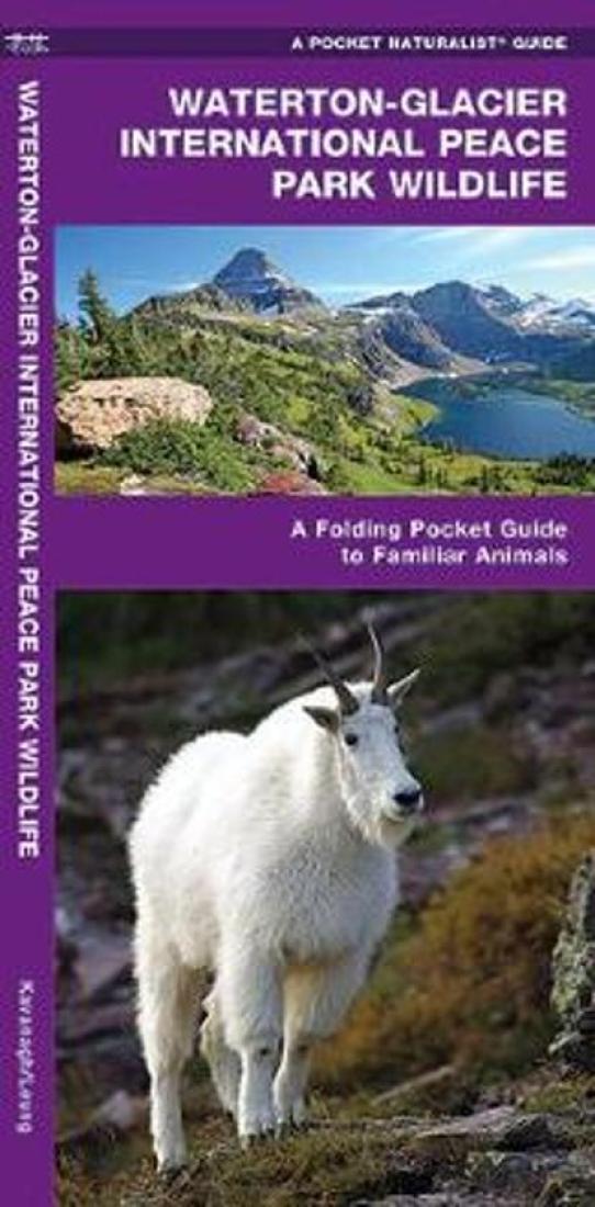 Waterton-Glacier International Peace Park Wildlife: A Folding Pocket Guide to Familiar Animals